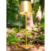 Настольная лампа POLDINA PRO, gold color leaf